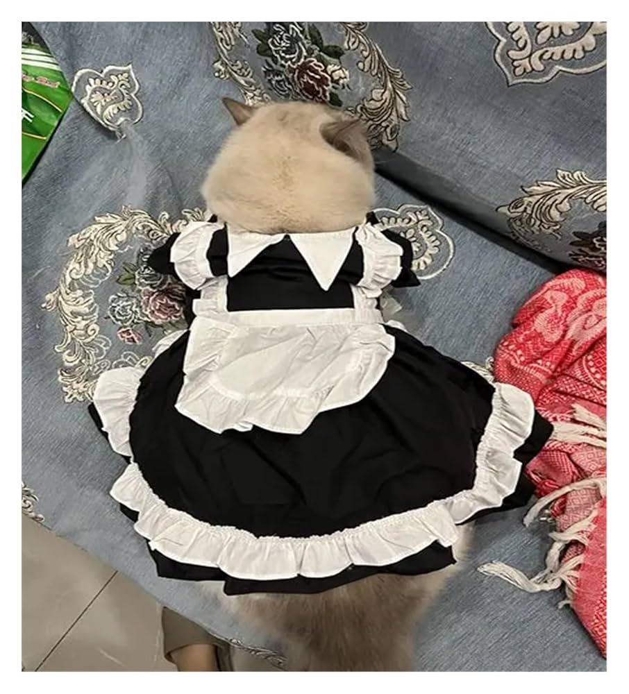 Amazon.com : Cat Maid Dress Pet Outfit Clothes Summer Cats